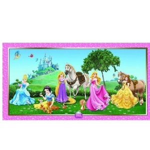 Disney Prensesleri Princess Plastik Duvar Banner Afiş Dekor Süsü 77x 150 cm